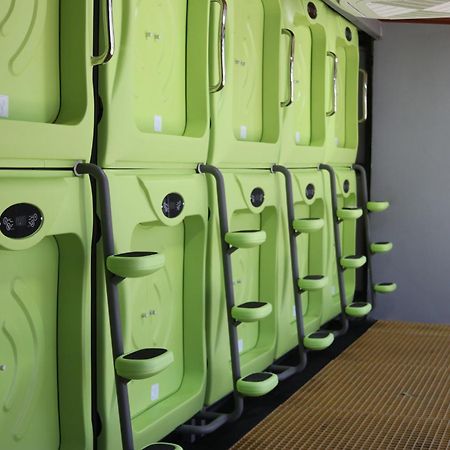 Pupa House - Capsule Hotel - Adults Only Tamarindo Exterior photo